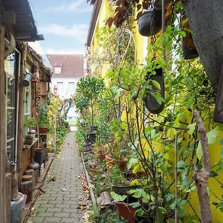 Inhabitable Museum In With Garden *