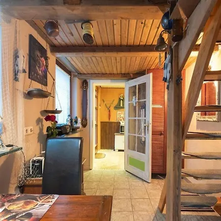 Inhabitable Museum In With Garden