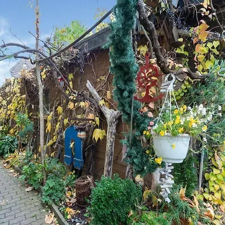 بيت للعطل Inhabitable Museum In With Garden